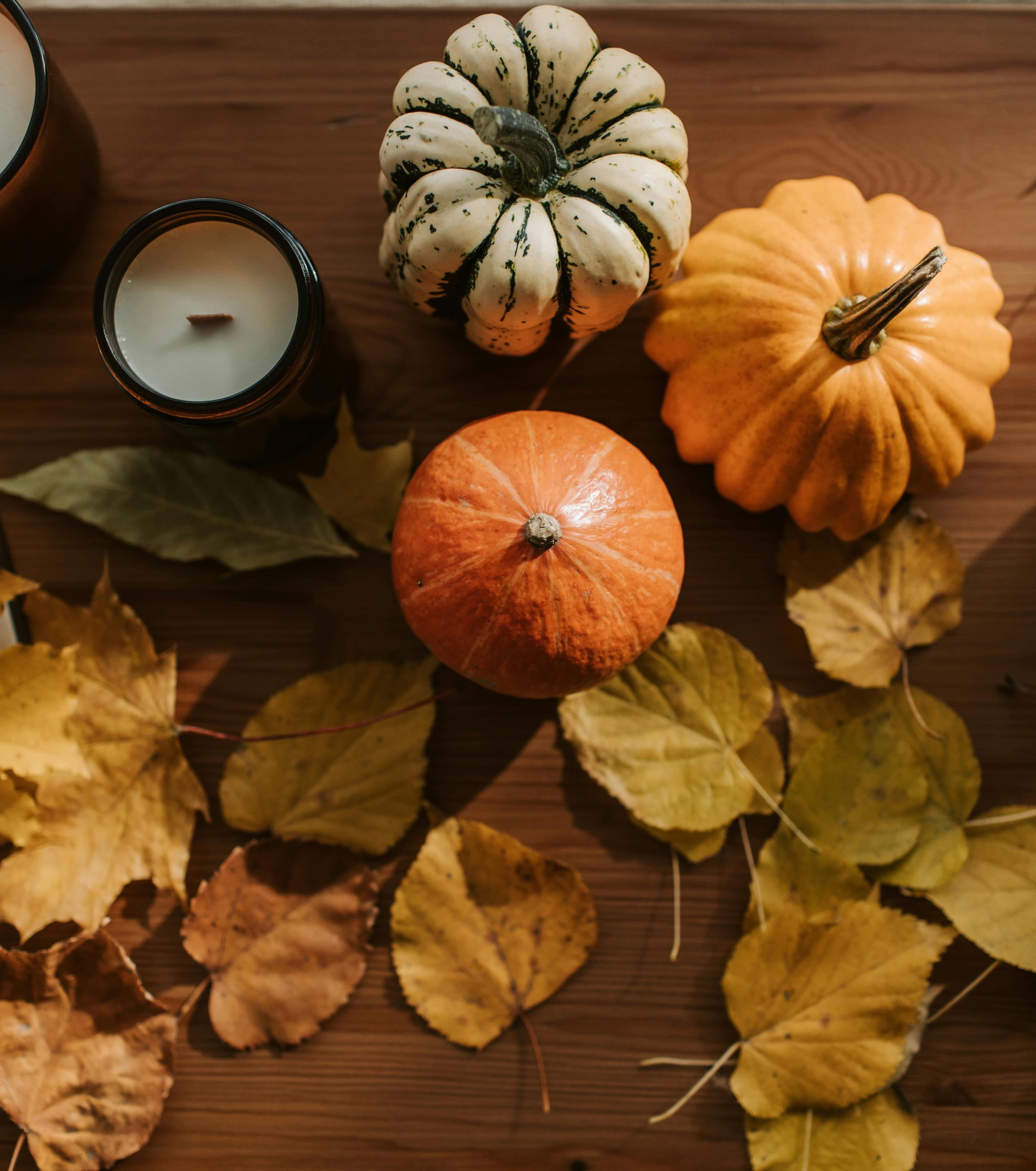 Pumpkins and Dried Leaves